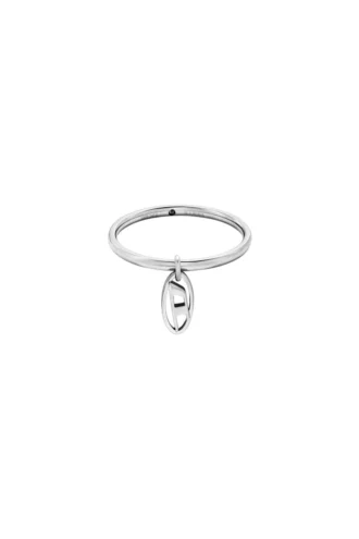 dx1603040 Charm-Ring aus Edelstahl